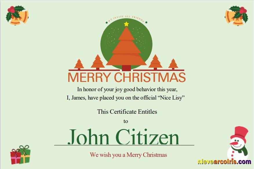 USA Christmas Gift certificate